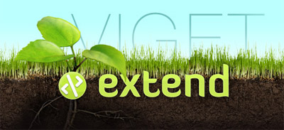 Viget Extend