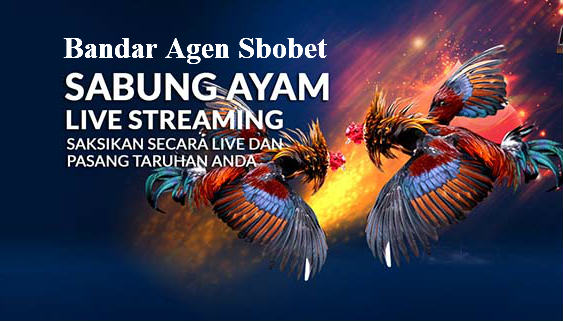 Bandar Judi Sbobet Online Sabung Ayam Indonesia